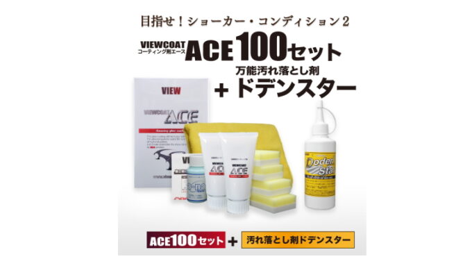 【ACE+DS】 「ACE　100セット+ドデンスター」セット　ガラス系コーティング剤　ビューコート