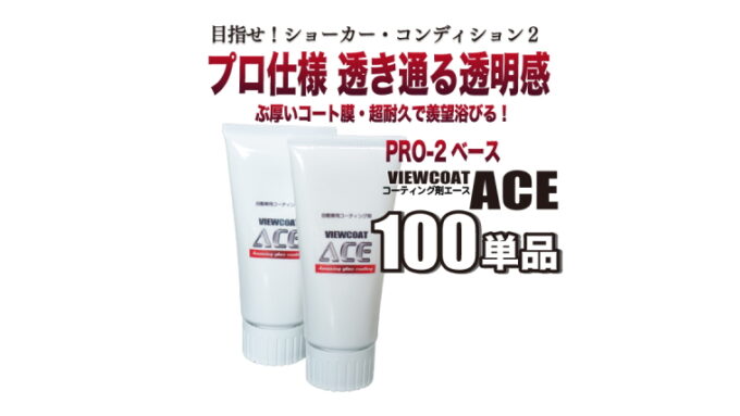 【ACE】「ACE  100単品」 ガラス系コーティング剤　ビューコート