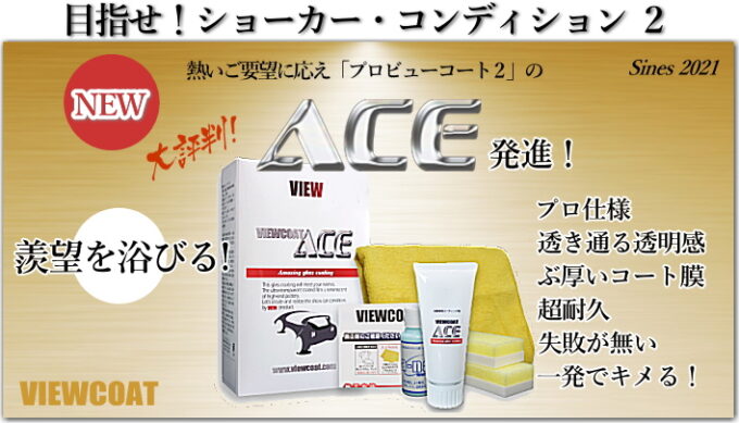 ACE とは。